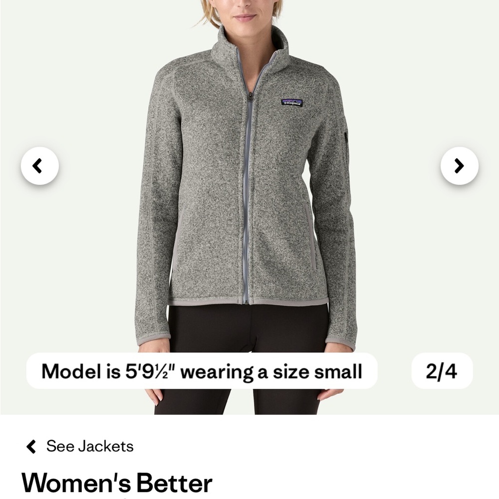 Patagonia Better Sweater Birch White (heather gray)